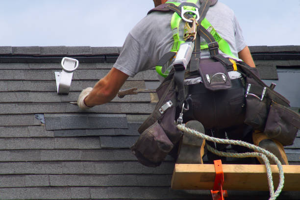 Best Roof Restoration Services  in Nes, IL