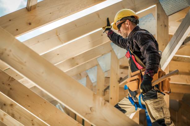 Best Roof Maintenance Services  in Nes, IL