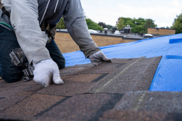 Quick and Trustworthy Emergency Roof Repair Services in Niles, IL