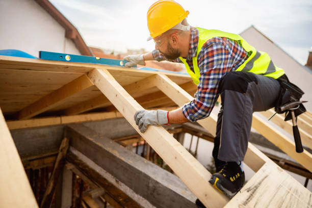 Best Roofing Contractor Near Me  in Nes, IL