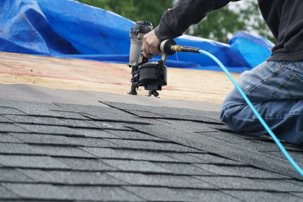 Best Roof Restoration Services  in Nes, IL
