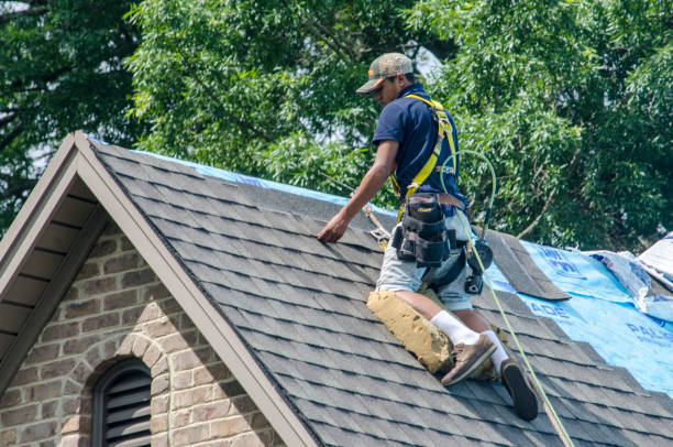 Best Gutter Installation and Roofing  in Nes, IL